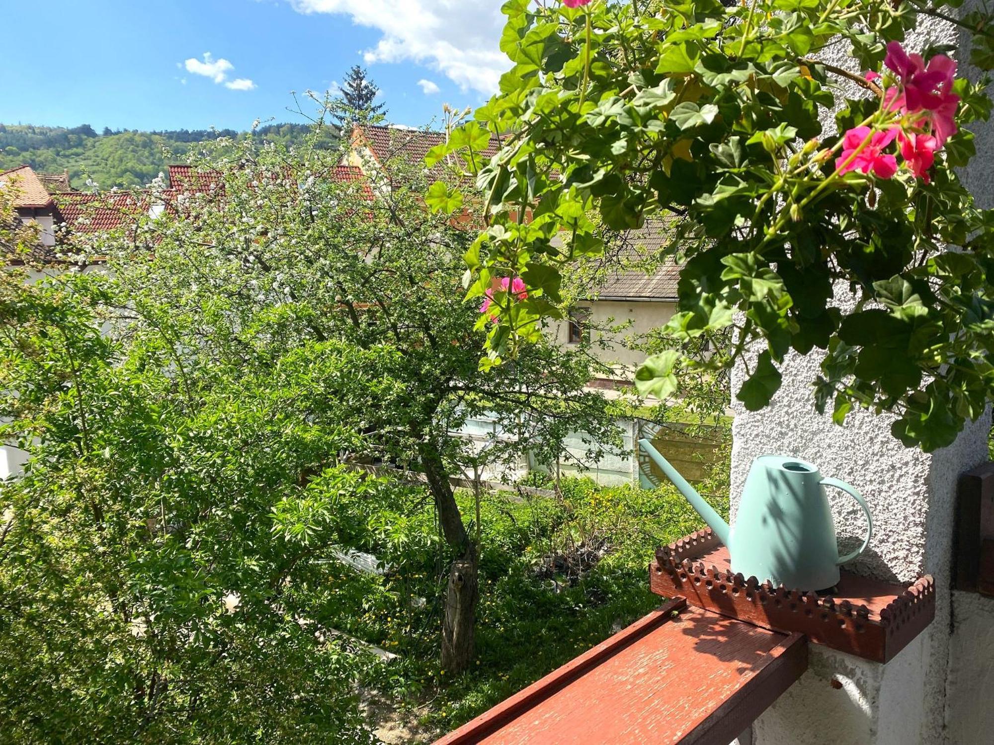 Rose'S Oldtown Apartment Braşov Esterno foto