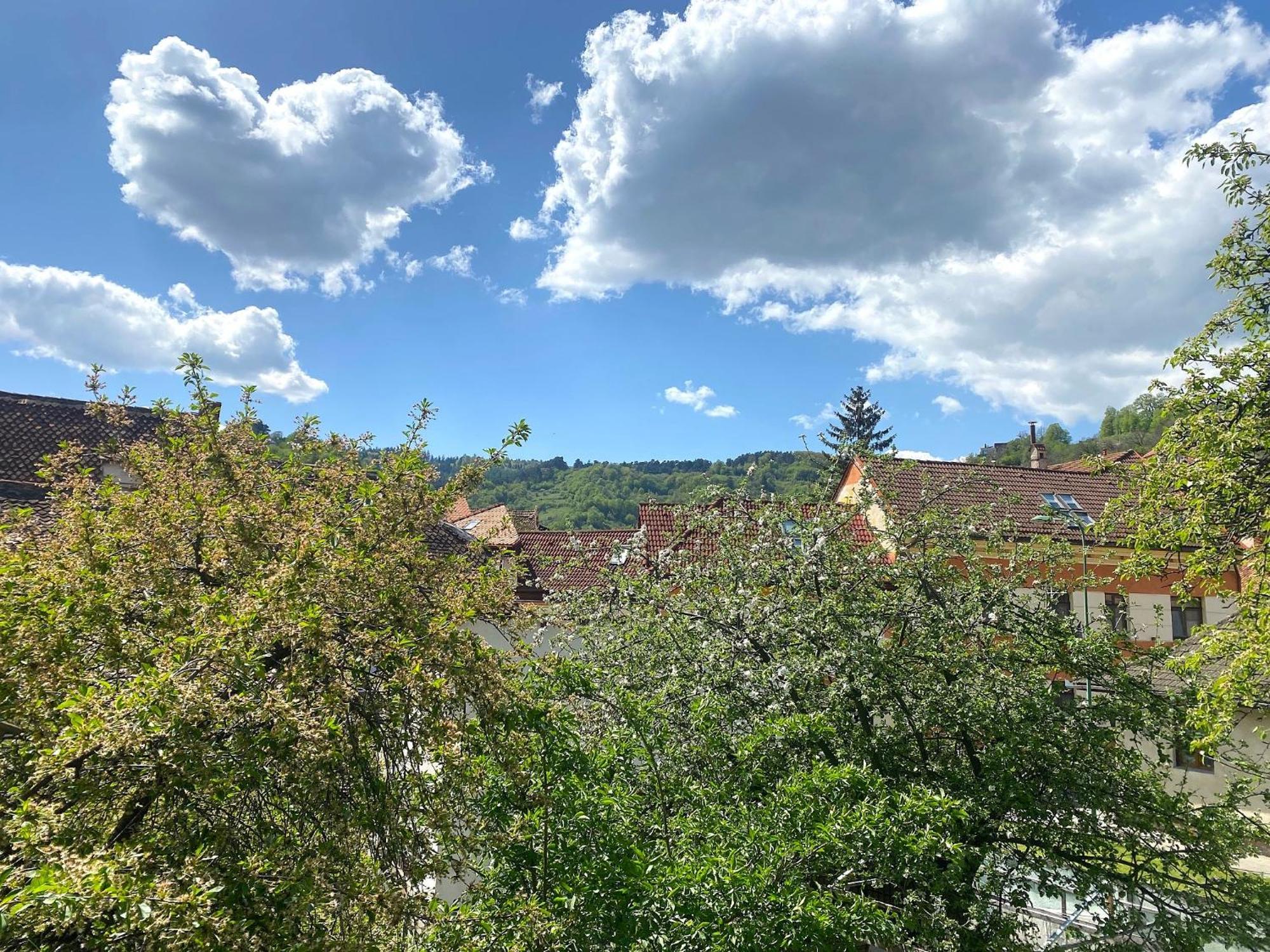 Rose'S Oldtown Apartment Braşov Esterno foto